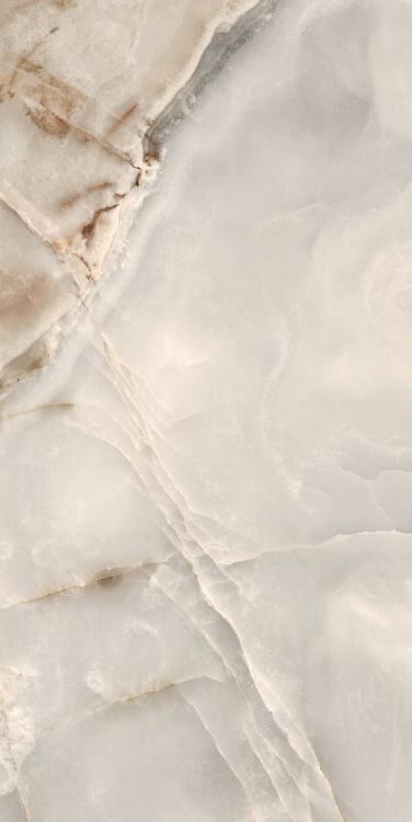 Reves Noisette Matte 24 x 48